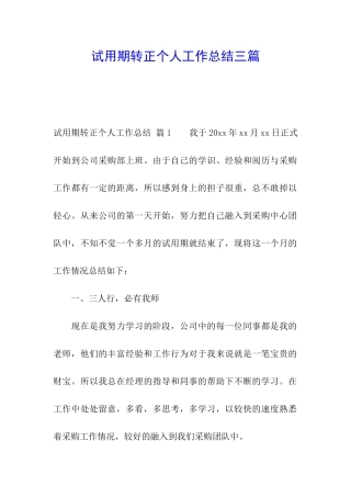 试用期转正个人工作总结三篇