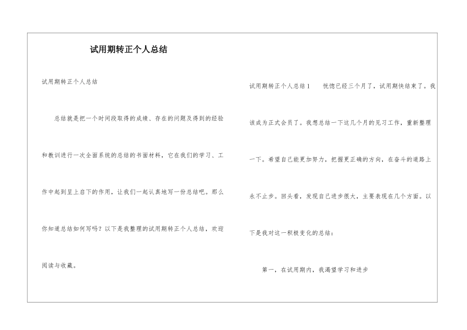 试用期转正个人总结_第1页