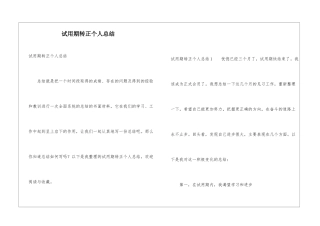 试用期转正个人总结
