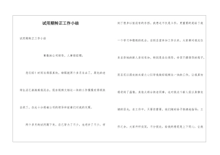 试用期转正工作小结