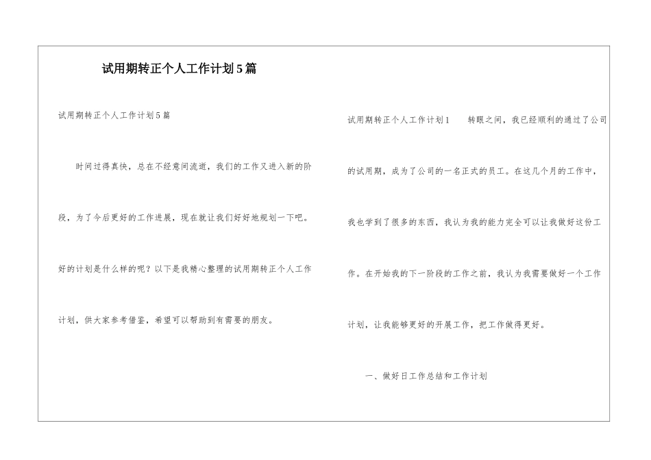 试用期转正个人工作计划5篇_第1页