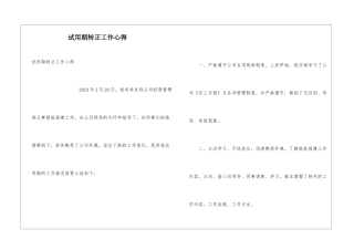 试用期转正工作心得