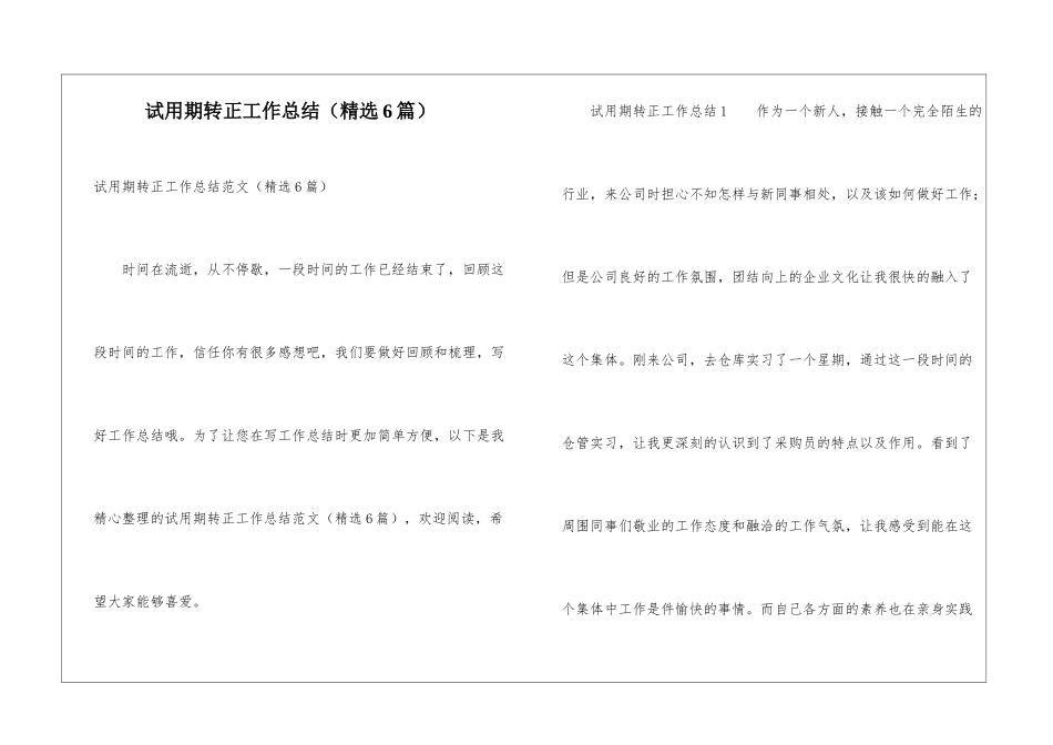 试用期转正工作总结(精选6篇)_第1页