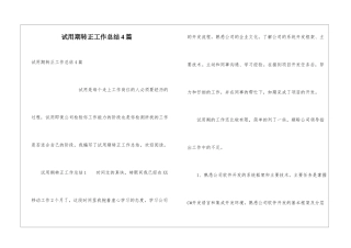 试用期转正工作总结4篇
