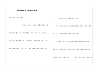 试用期转正工作总结参考