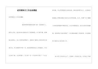 试用期转正工作总结模板