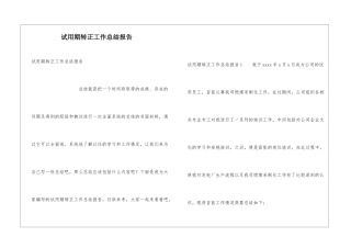 试用期转正工作总结报告
