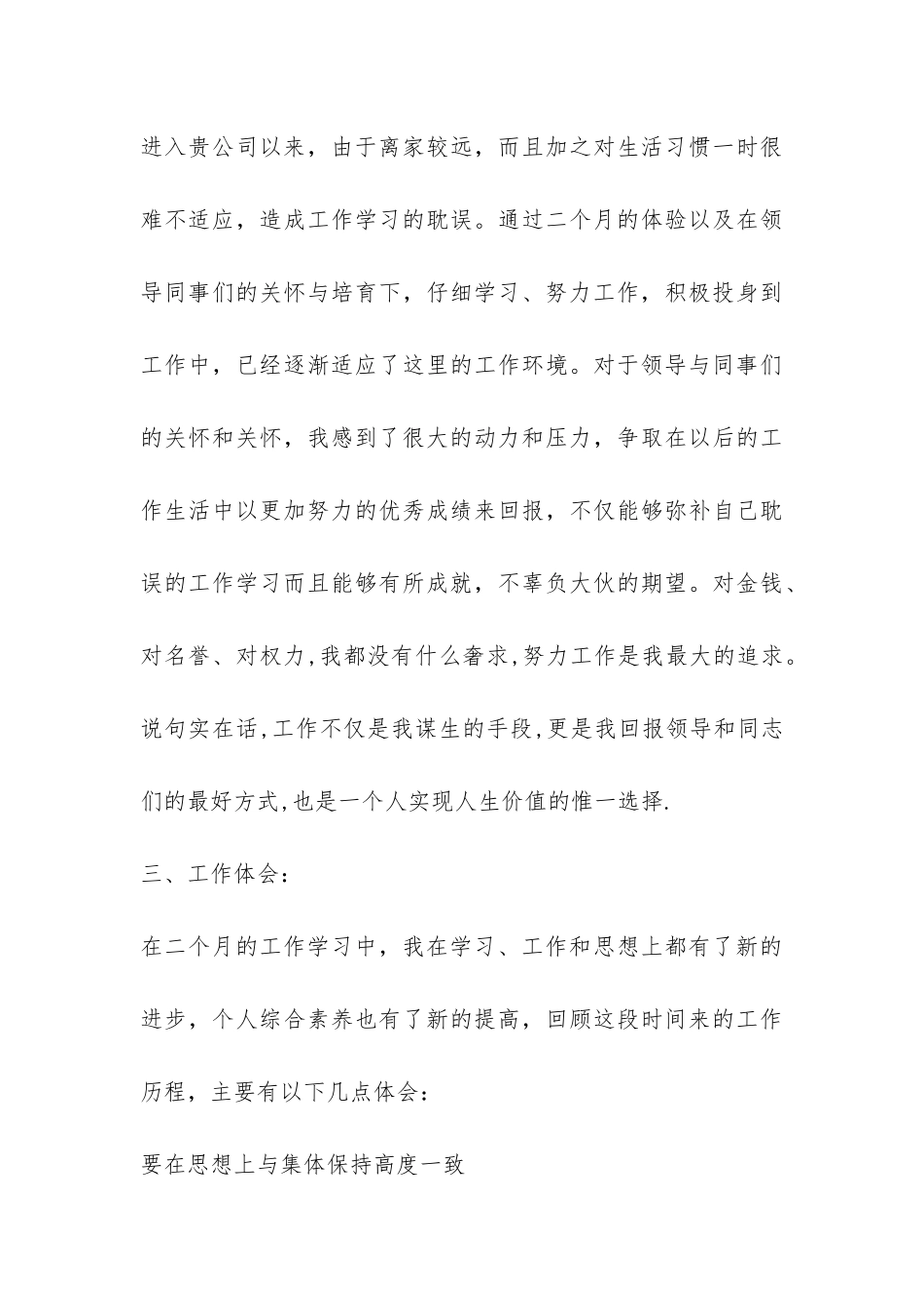 试用期转正工作报告-_第3页