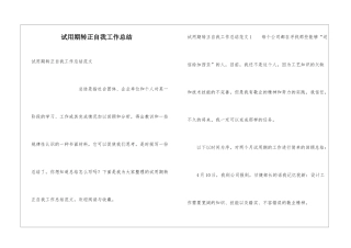 试用期转正自我工作总结