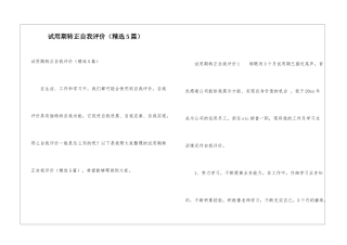 试用期转正自我评价