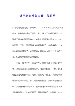 试用期间销售内勤工作总结