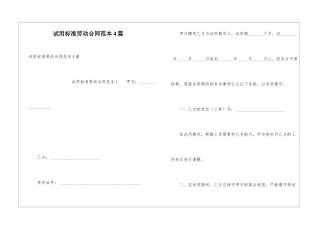 试用标准劳动合同范本4篇