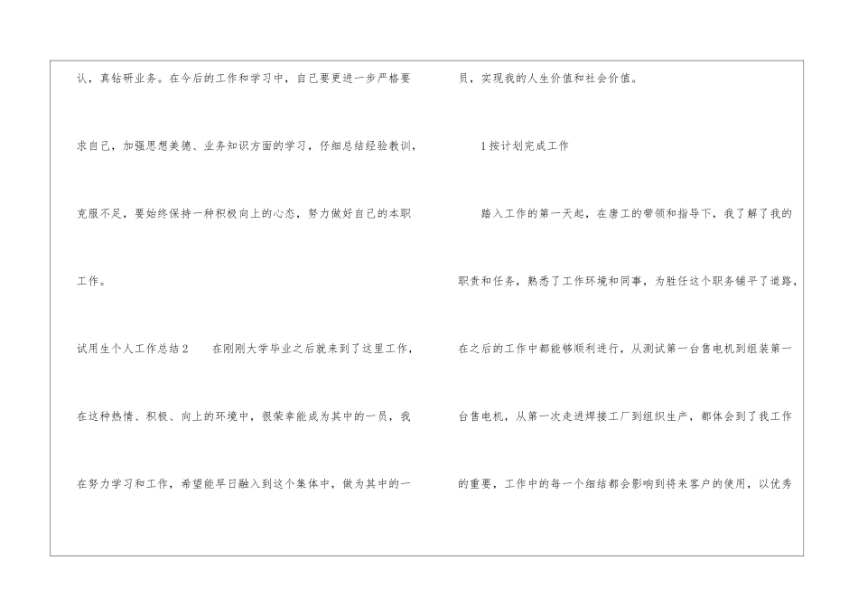 试用生个人工作总结_第3页