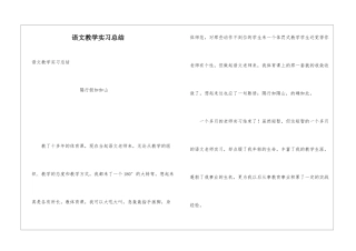 语文教学实习总结