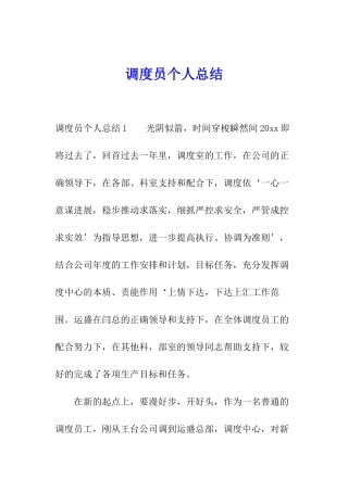 调度员个人总结