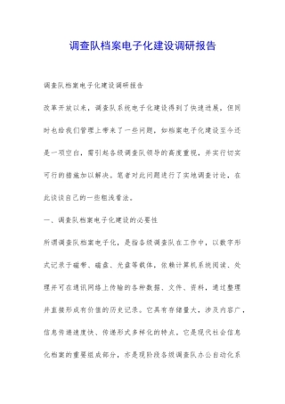 调查队档案电子化建设调研报告-