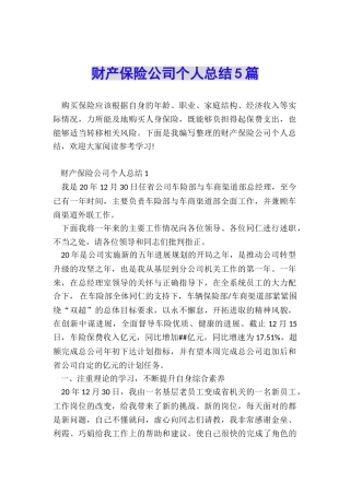 财产保险公司个人总结5篇