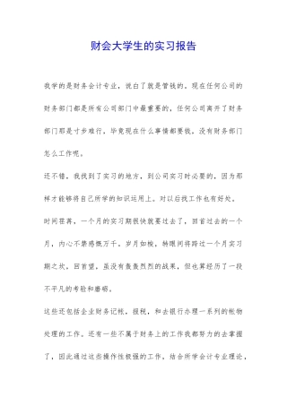 财会大学生的实习报告-