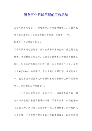 财务三个月试用期的工作总结-