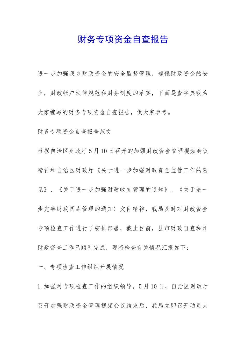 财务专项资金自查报告-_第1页