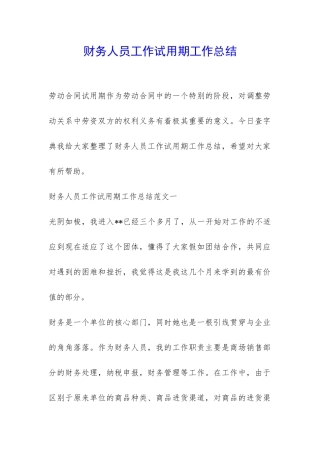 财务人员工作试用期工作总结-