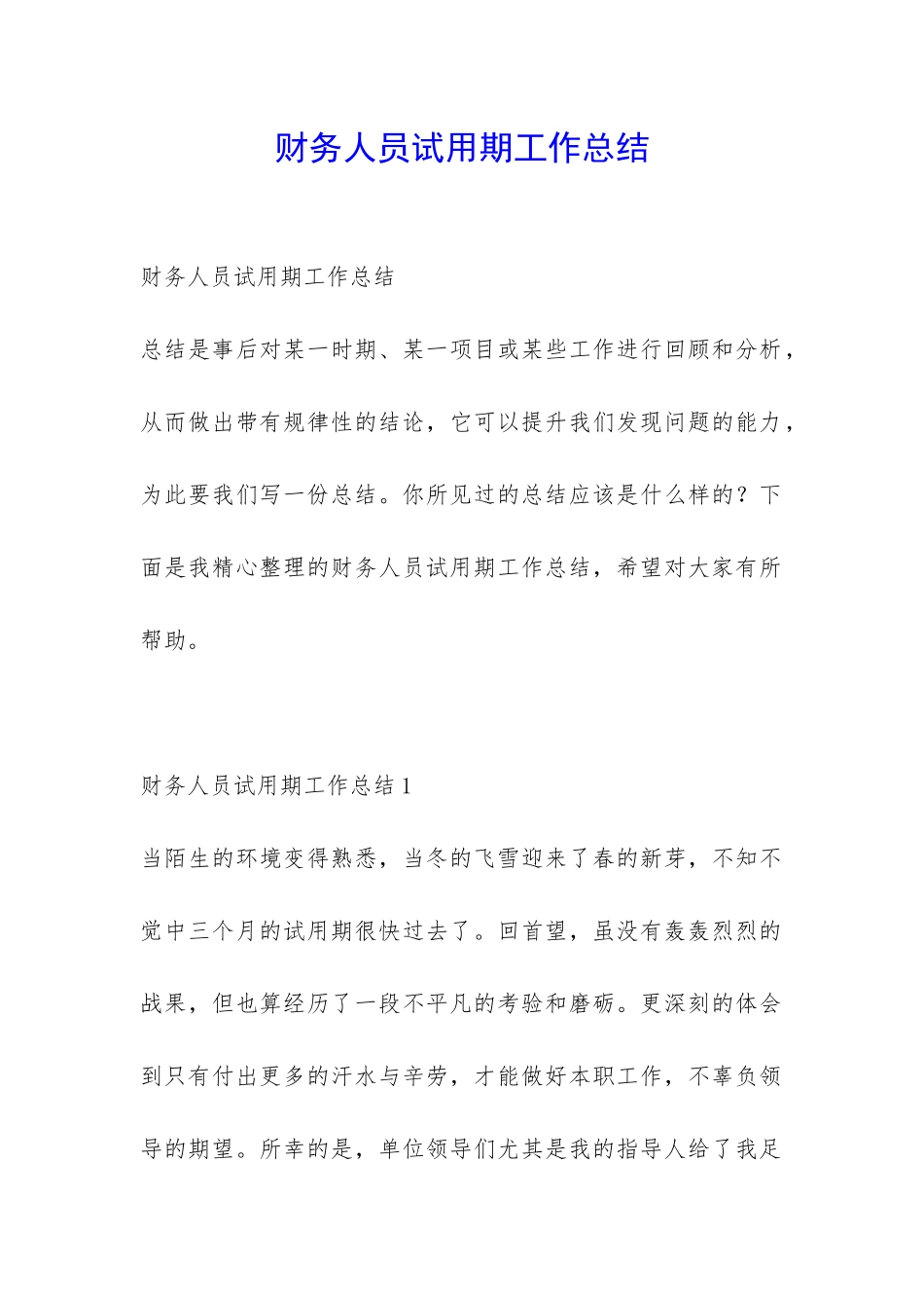 财务人员试用期工作总结-_第1页