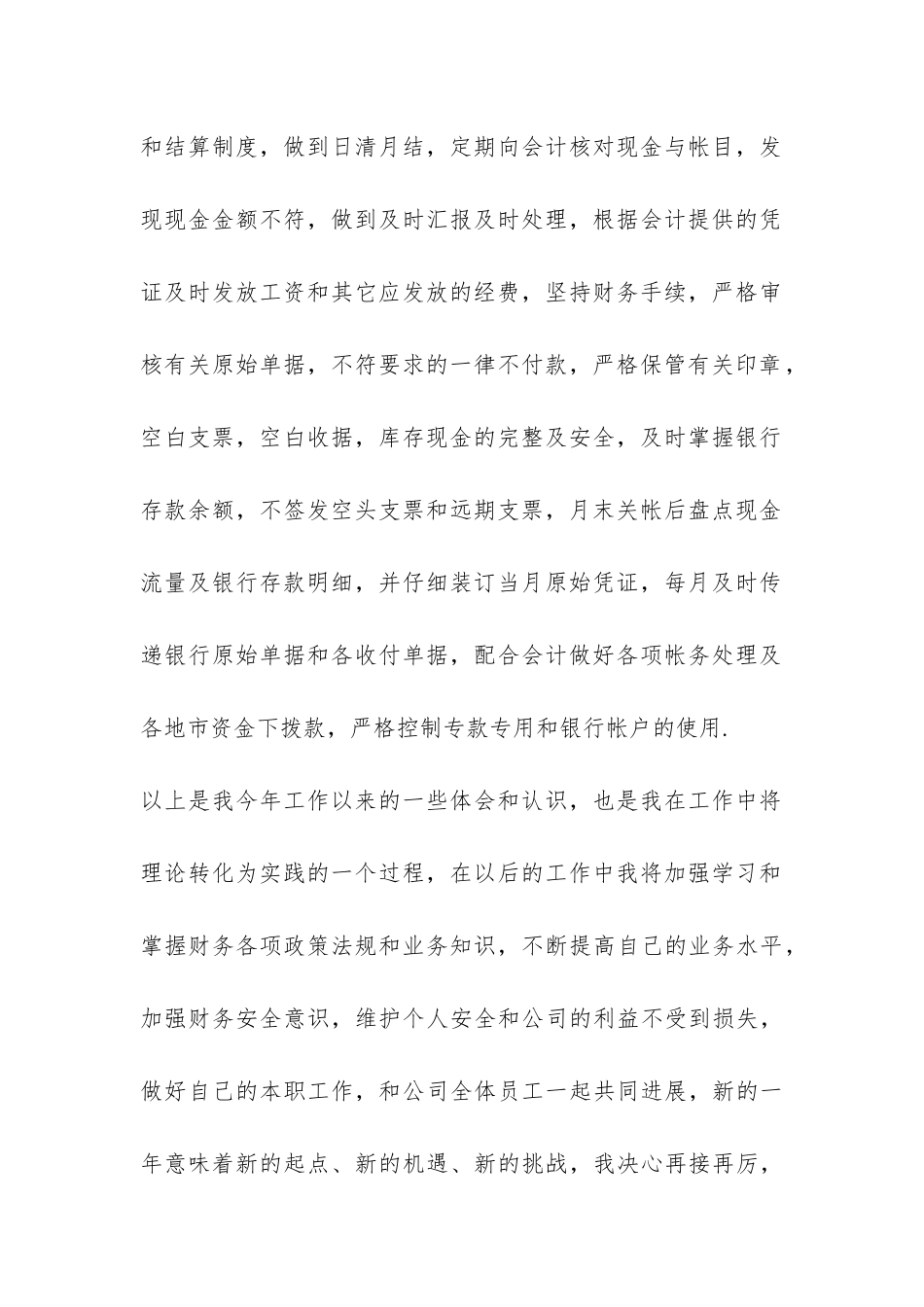 财务出纳员年终总结报告-_第2页