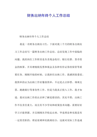 财务出纳年终个人工作总结