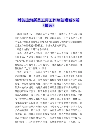 财务出纳新员工月工作总结模板5篇
