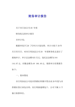 财务审计报告