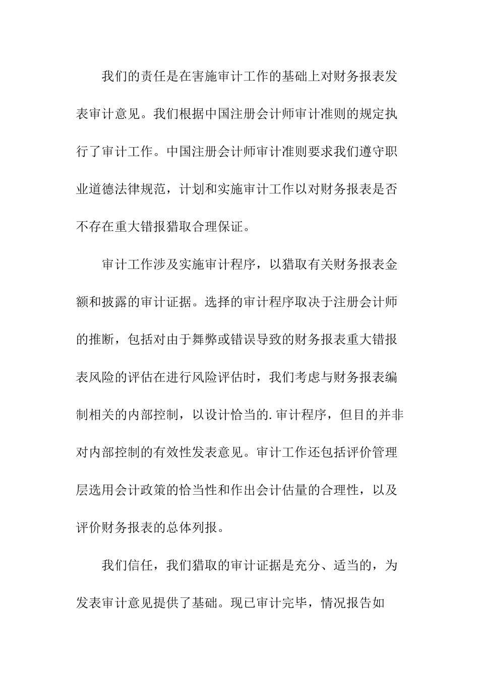 财务收支审计报告模板_第2页