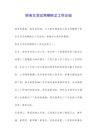 财务文员试用期转正工作总结-