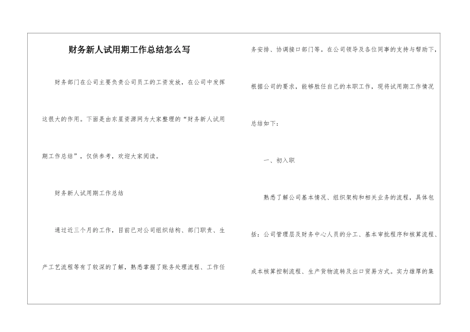 财务新人试用期工作总结怎么写-_第1页
