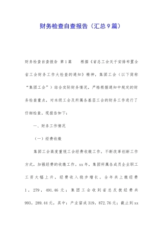 财务检查自查报告