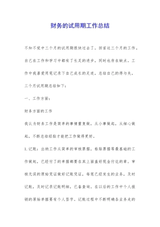 财务的试用期工作总结-