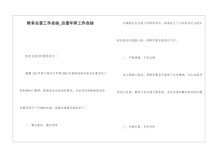 财务自查工作总结自查年终工作总结