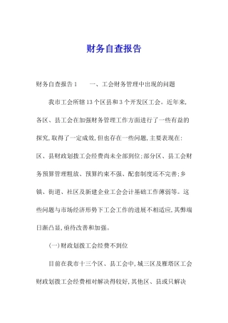 财务自查报告