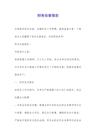 财务自查报告-