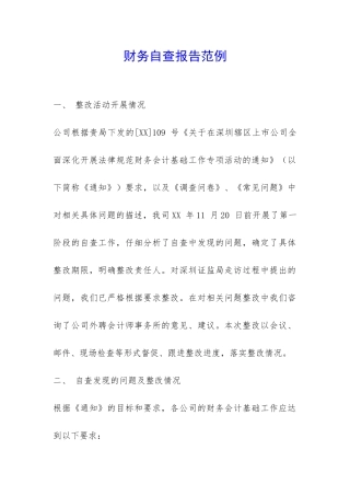 财务自查报告范例-