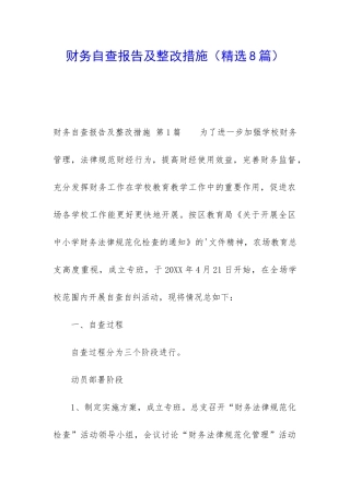 财务自查报告及整改措施