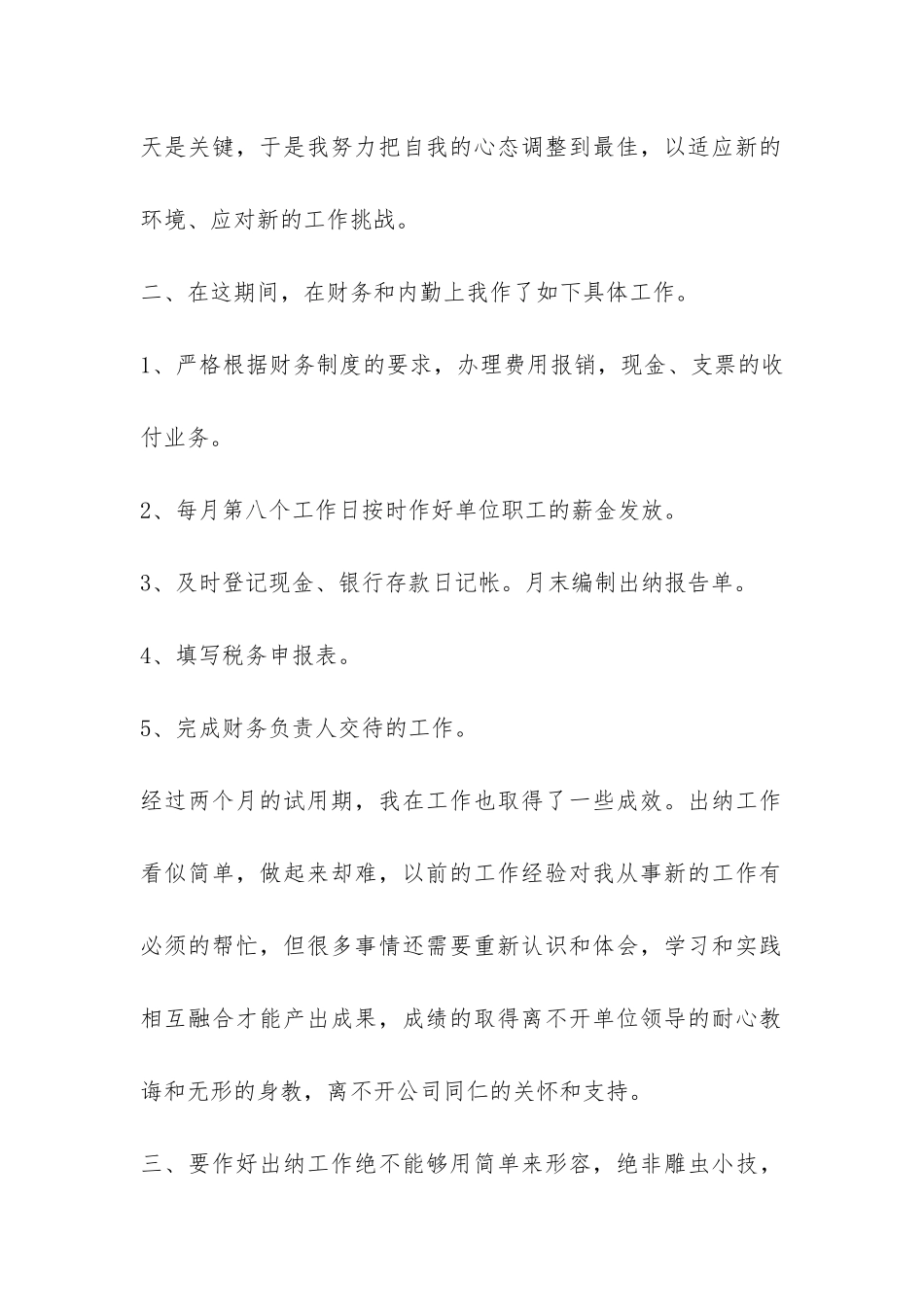 财务试用期个人的工作总结-_第2页