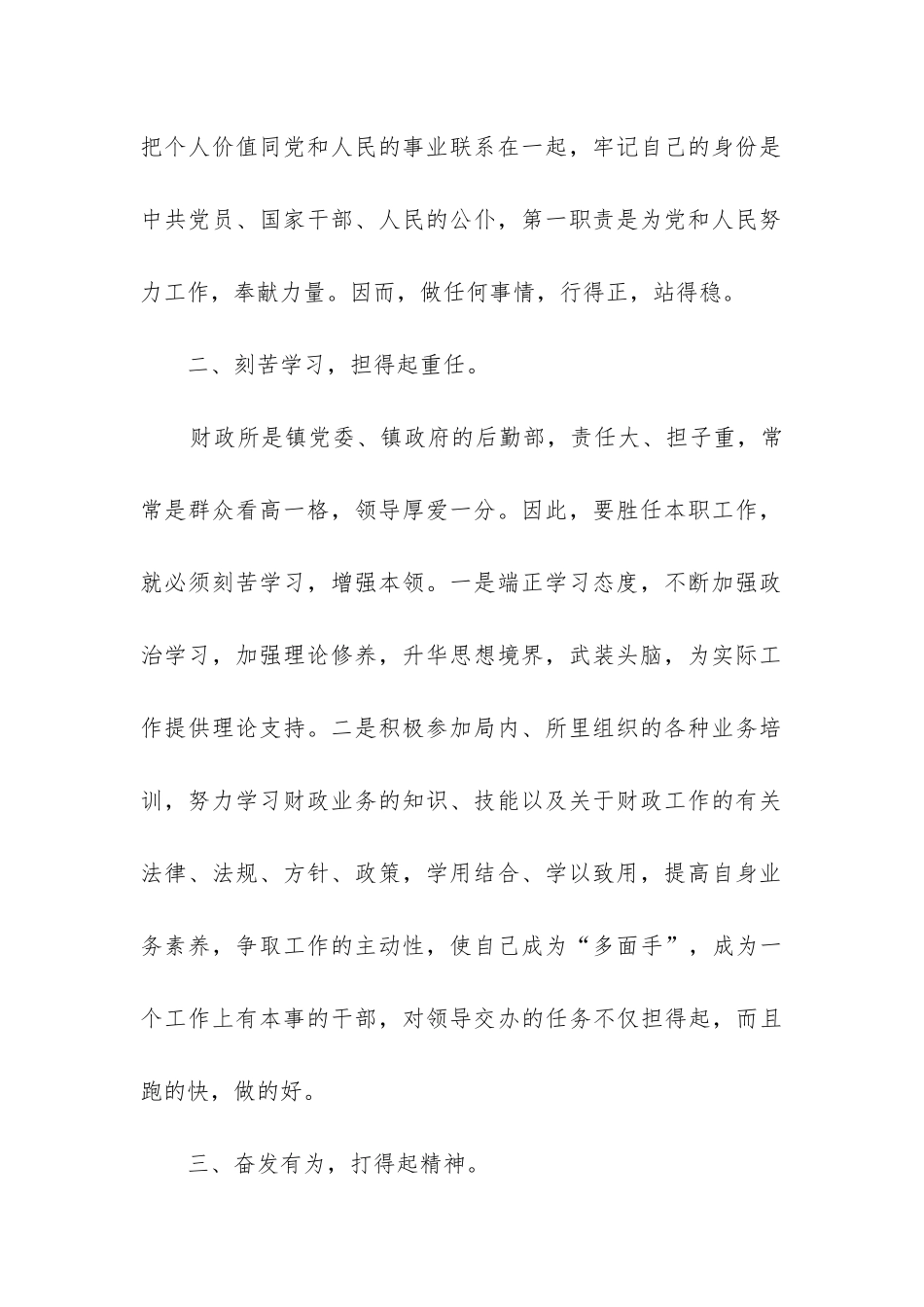 财政个人工作总结_第2页