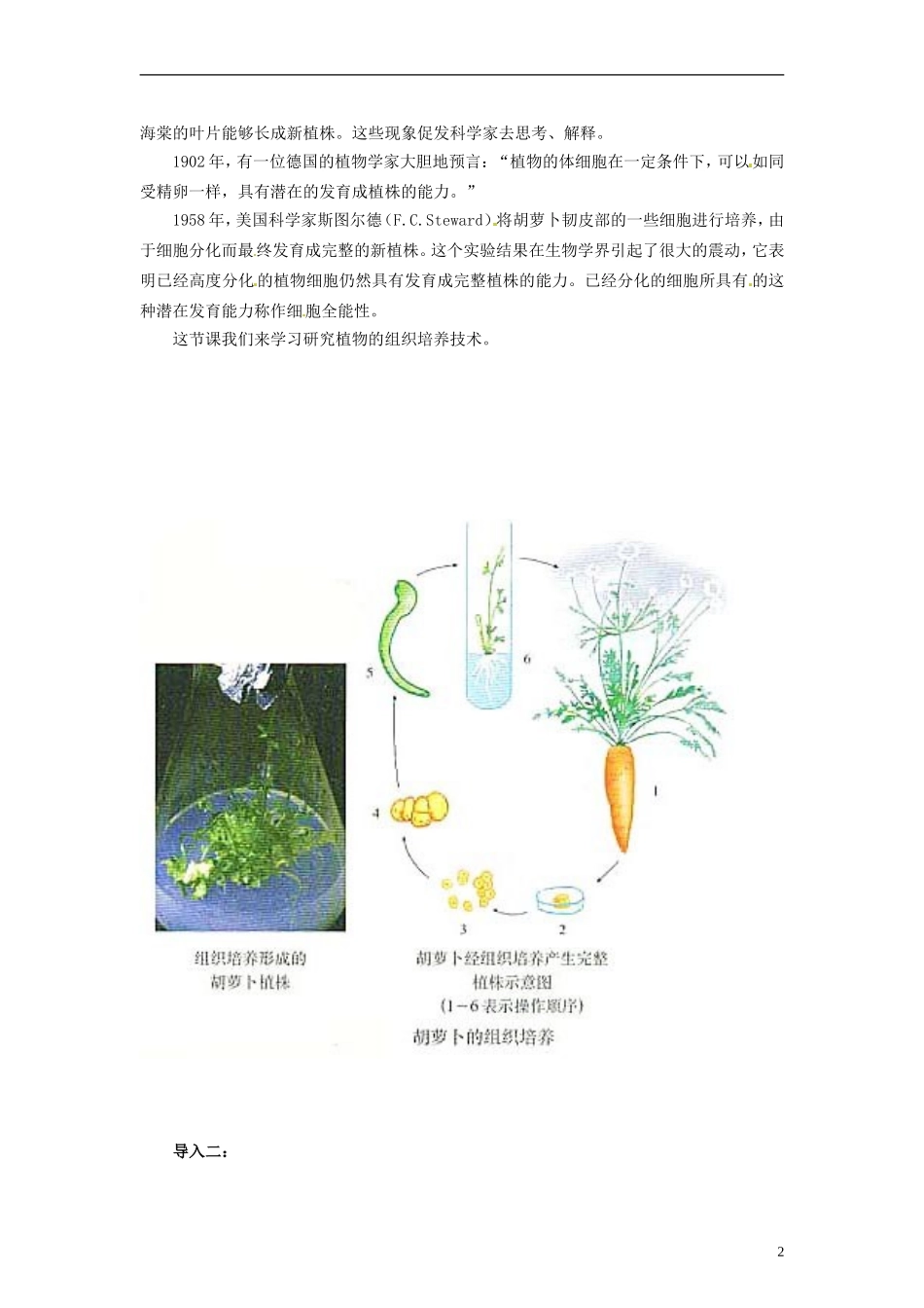 2014高中生物 3.1 菊花的组织培养同步导学 新人教版选修1_第2页