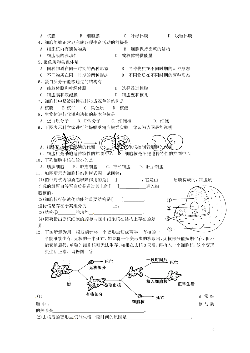 2014高中生物 3.3 细胞核系统的控制中心导学案 新人教版必修1_第2页