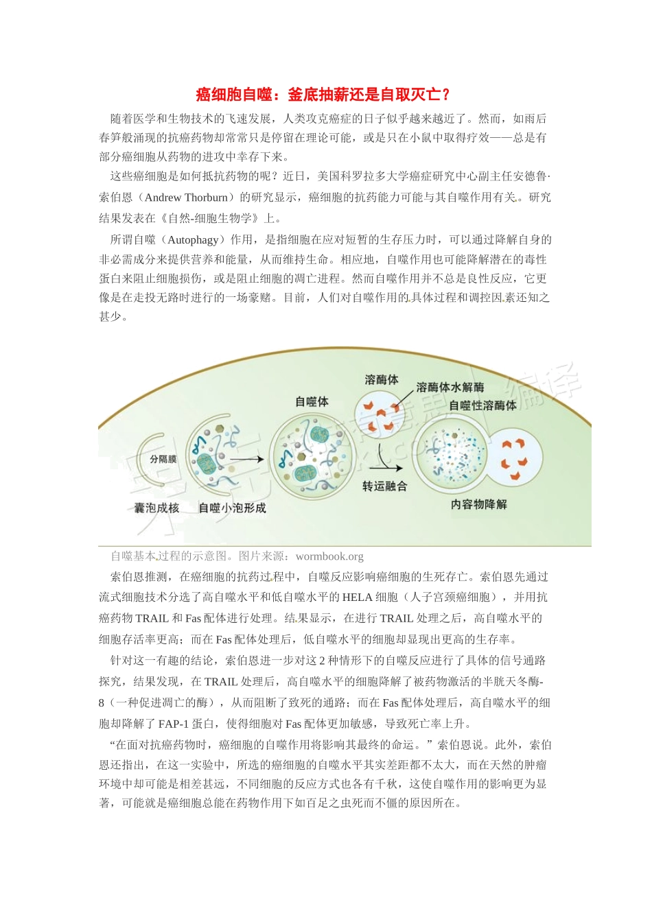 2014年高考化学二轮复习（热门素材+练习）癌细胞自噬：釜底抽薪还是自取灭亡？_第1页