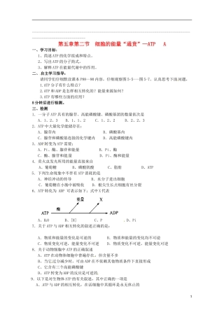 2014高中生物 5.2 细胞的能量“通货”ATP导学案 新人教版必修1