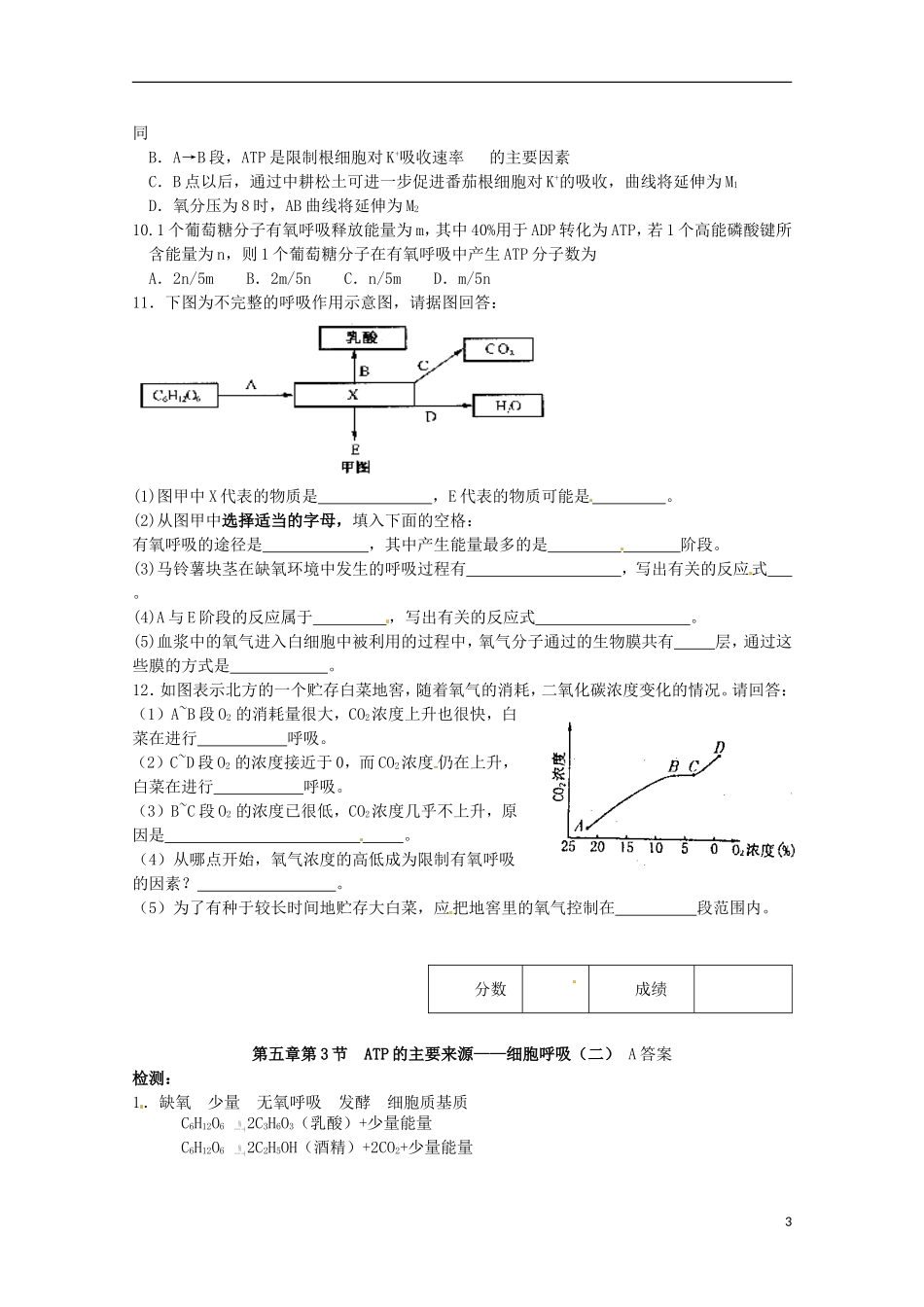 2014高中生物 5.3 ATP的主要来源--细胞呼吸（二）导学案 新人教版必修1_第3页