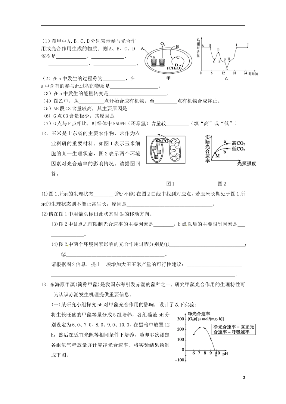 2014高中生物 5.4 光合作用过关检测导学案 新人教版必修1_第3页
