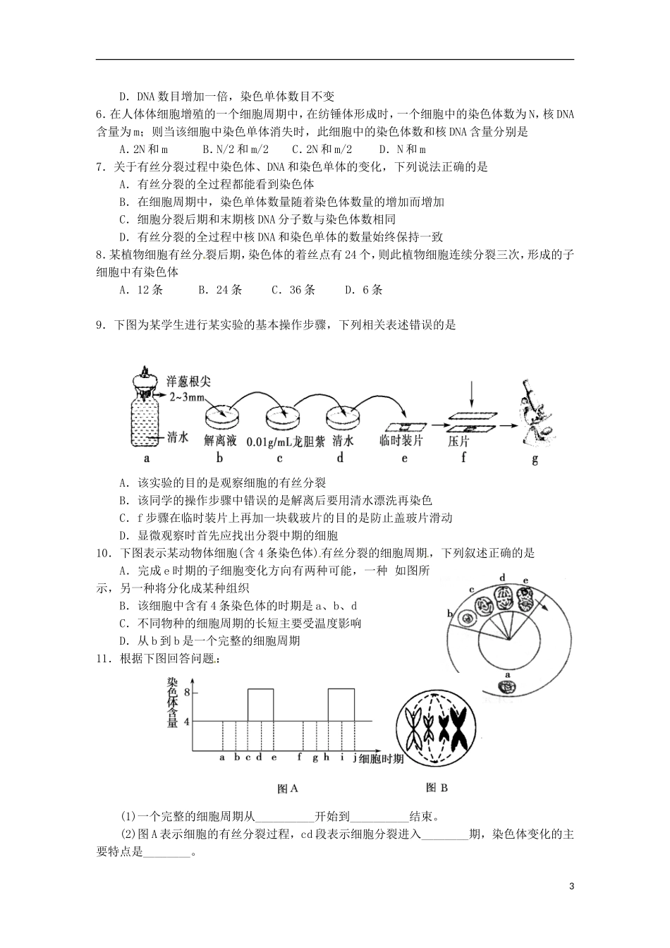 2014高中生物 6.1 细胞的增殖(二）导学案 新人教版必修1_第3页