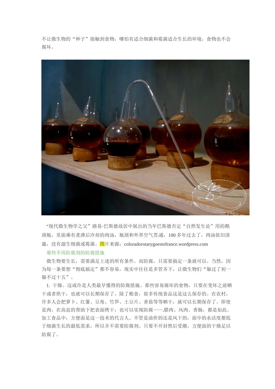 2014年高考化学二轮复习（热门素材+练习）食物不坏一定是防腐剂的功劳吗？_第2页